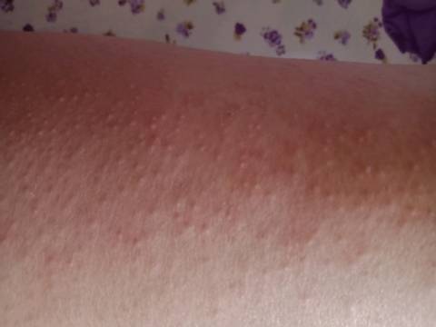 journal_insert_pic_1036511713