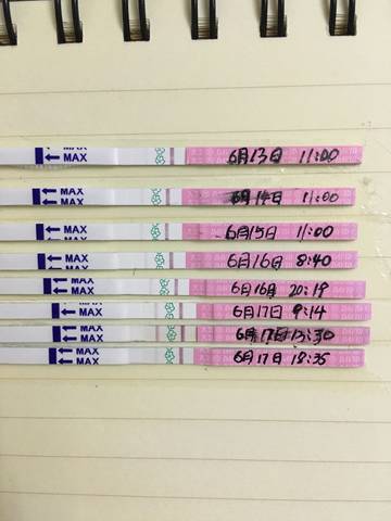 journal_insert_pic_1036632113