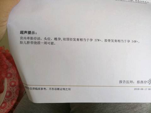 journal_insert_pic_1036311865