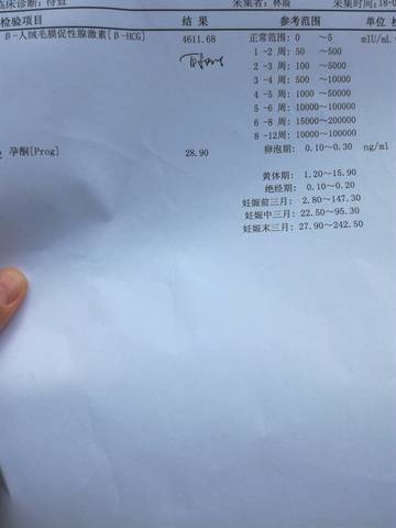 journal_insert_pic_1036378164