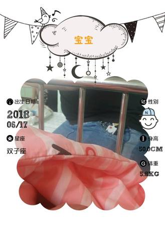 journal_insert_pic_1037037345