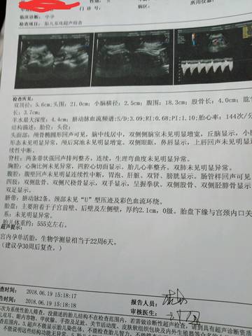 journal_insert_pic_1038079048