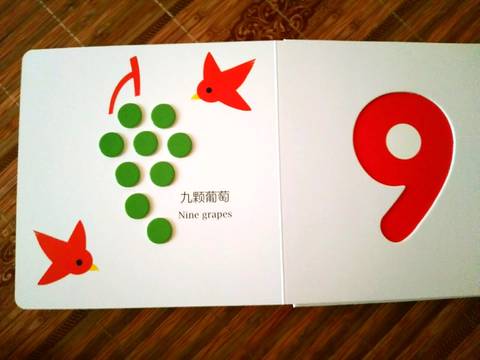journal_insert_pic_1038106484