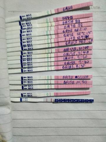 journal_insert_pic_1039645237