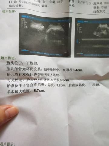 journal_insert_pic_1039222186