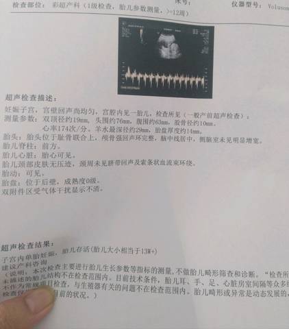 journal_insert_pic_1039100968