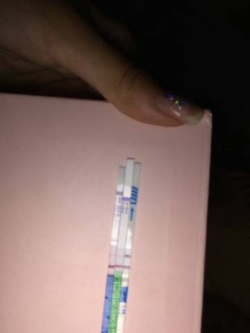 journal_insert_pic_1039132183