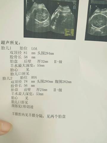 journal_insert_pic_1039540970
