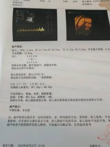 journal_insert_pic_1040070866