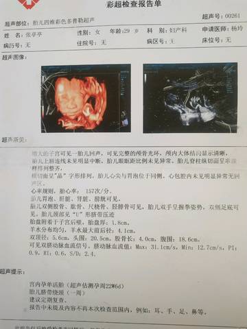 journal_insert_pic_1040184816
