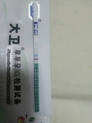 journal_insert_pic_1039744435
