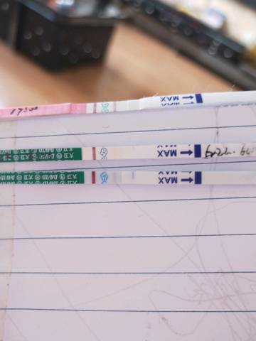 journal_insert_pic_1040433729