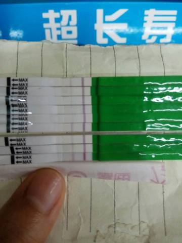 journal_insert_pic_1041241766