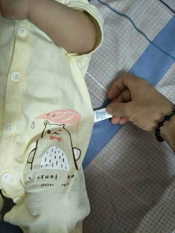 journal_insert_pic_1041569513