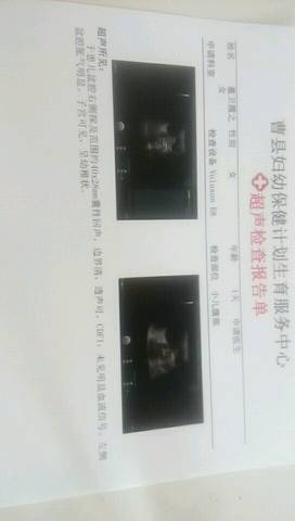 journal_insert_pic_1041334468