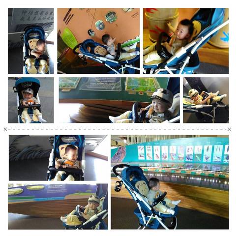 journal_insert_pic_1041331760