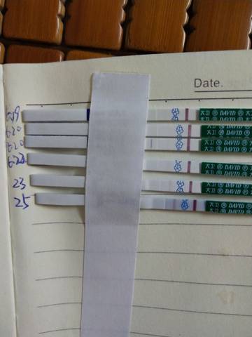 journal_insert_pic_1041861045