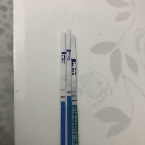 journal_insert_pic_1042286197