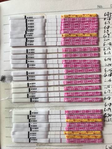 journal_insert_pic_1043251826