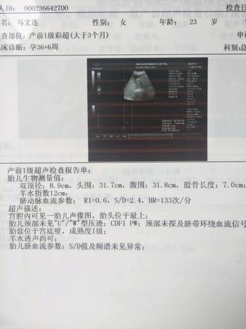 journal_insert_pic_1043383904