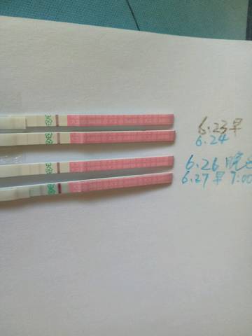 journal_insert_pic_1043245414