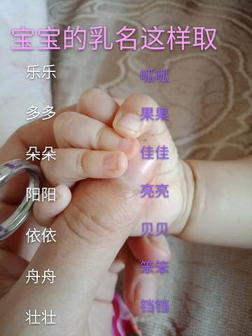 journal_insert_pic_1043177050