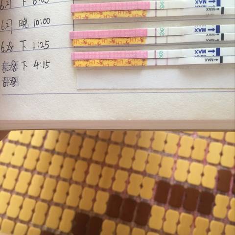 journal_insert_pic_1044148525