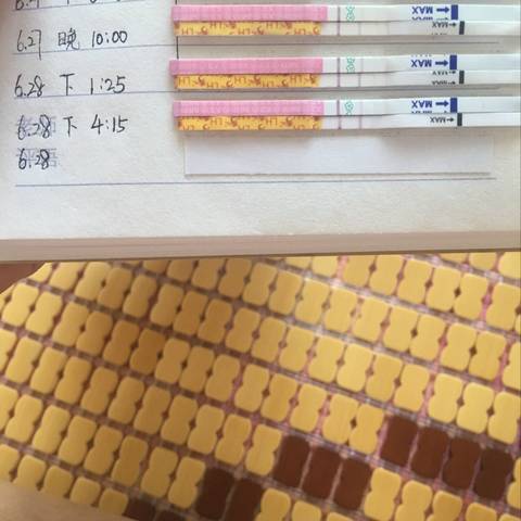 journal_insert_pic_1044148513