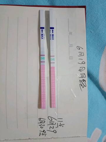 journal_insert_pic_1045496715
