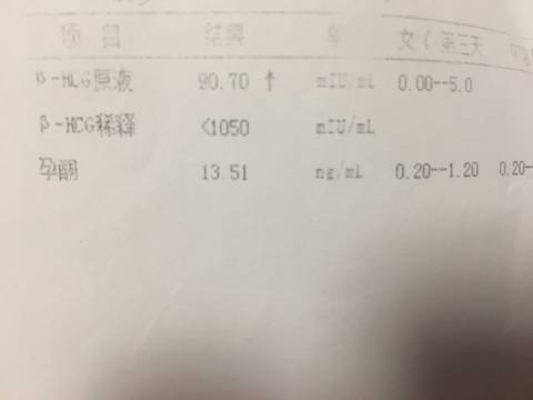 journal_insert_pic_1045734830