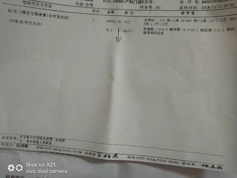 journal_insert_pic_1046042342
