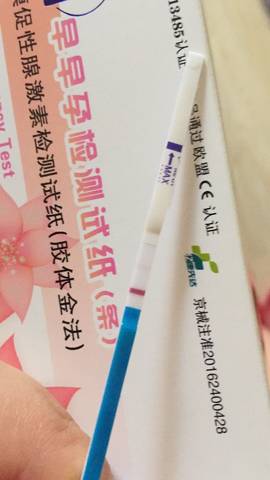 journal_insert_pic_1045718244