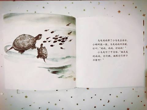 journal_insert_pic_1046758834