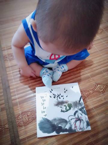 journal_insert_pic_1046758821