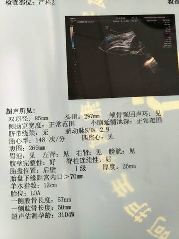 journal_insert_pic_1046338204