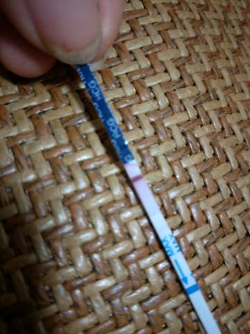 journal_insert_pic_1048173511