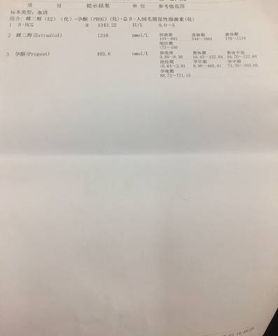 journal_insert_pic_1048512413