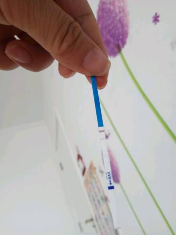 journal_insert_pic_1048296454