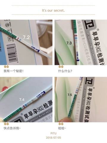 journal_insert_pic_1049388883