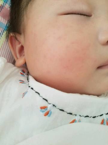 journal_insert_pic_1049609979