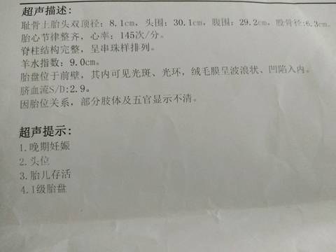 journal_insert_pic_1049907647