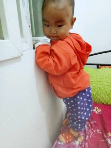 journal_insert_pic_1049514298