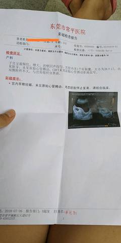 journal_insert_pic_1049632186