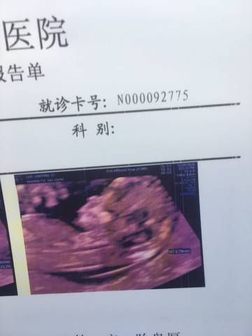 journal_insert_pic_1051202704