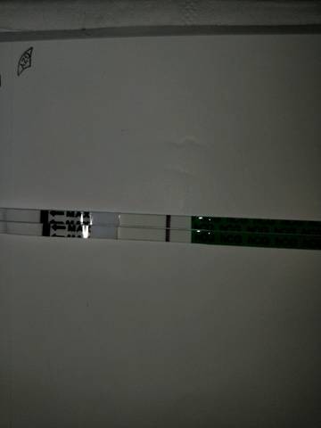 journal_insert_pic_1052158889