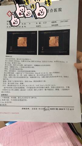 journal_insert_pic_1052923331