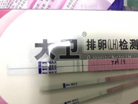 journal_insert_pic_1053789353