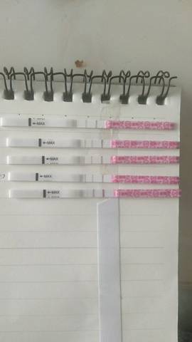 journal_insert_pic_1054332855