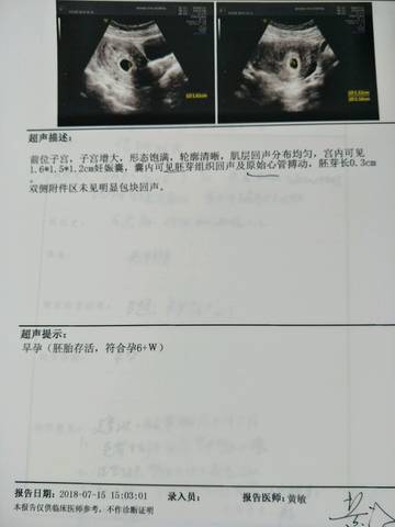 journal_insert_pic_1054972528