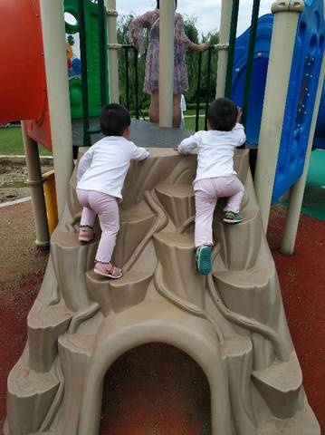 journal_insert_pic_1055455815